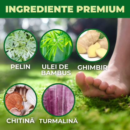 Plasturi Detoxifiere (set de 8 bucati)